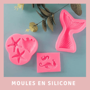 Moules Silicones
